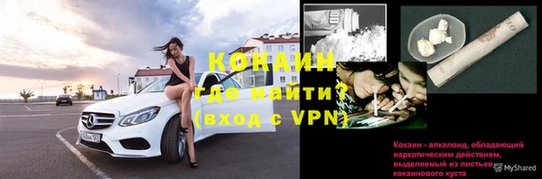 молекула духа Сафоново