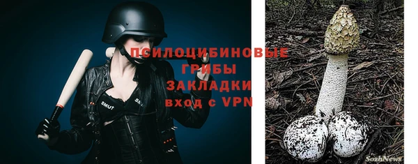 2c-b Саяногорск